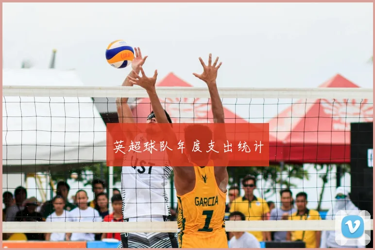 英超球队年度支出统计