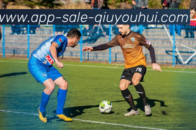 多媒体互动体验